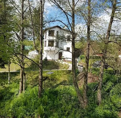 By The Creek * Žlutice